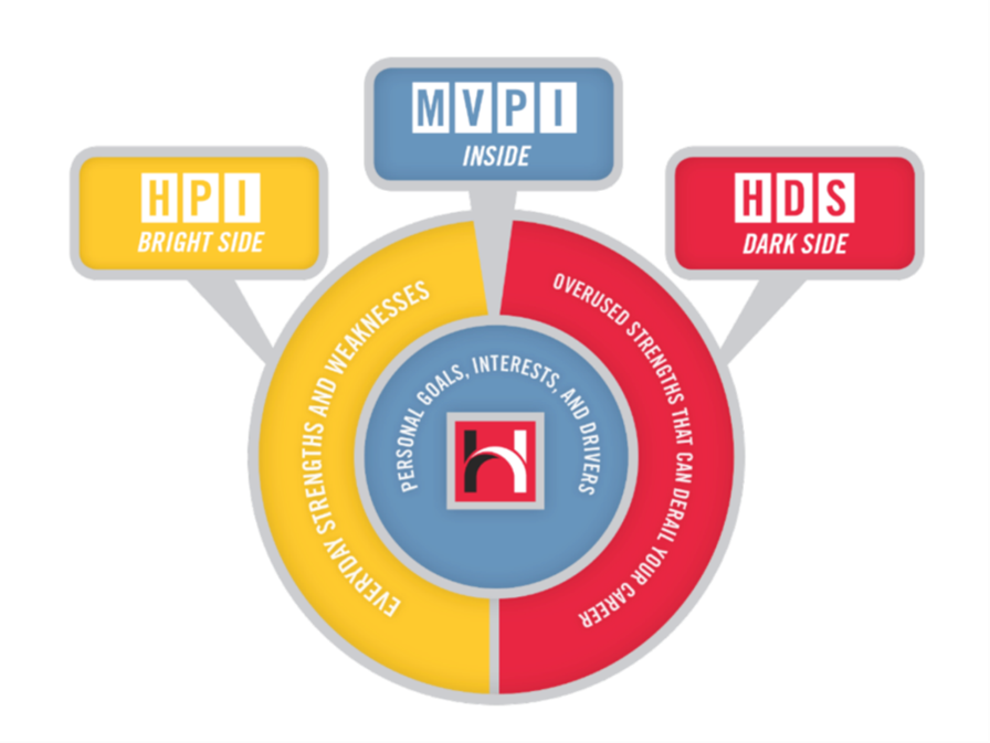 Hogan-Graphic-1 Hogan assessments supporting organisational leadership development