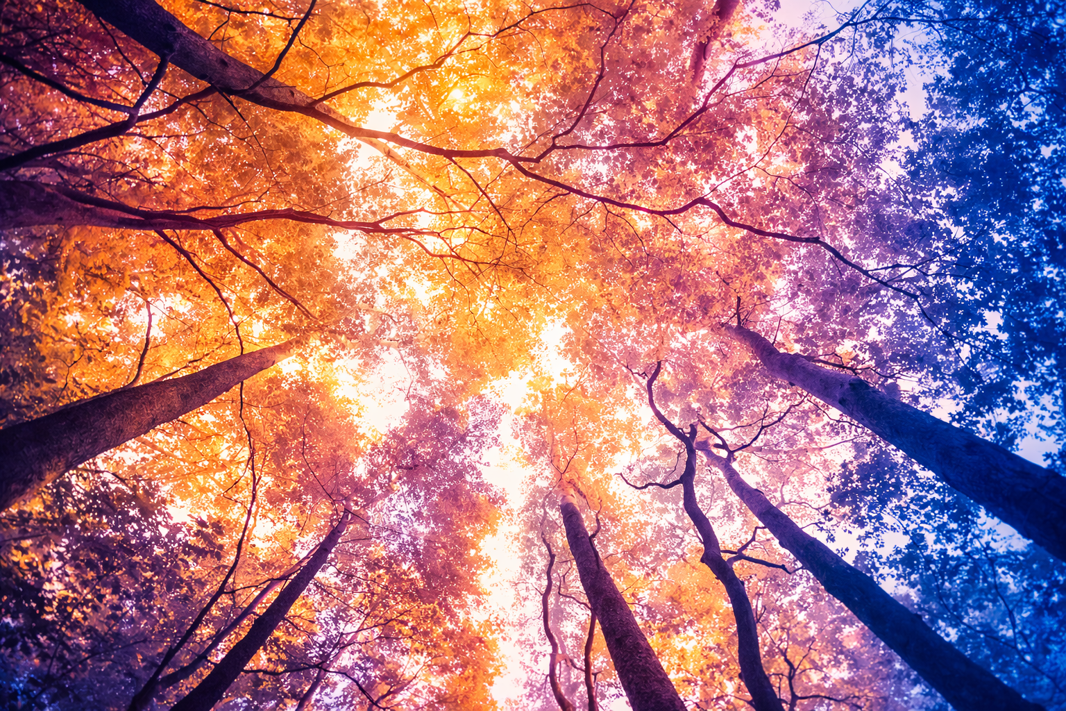 Small group leadership workshop or facilitated discussion in a modern, light-filled workspace.